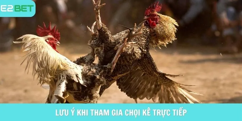 Lưu ý dành cho hội viên