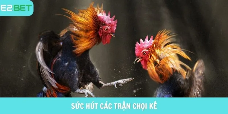 Sức hút của các trận đấu